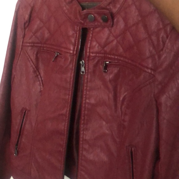 Cavalini - Picture 2 of 3